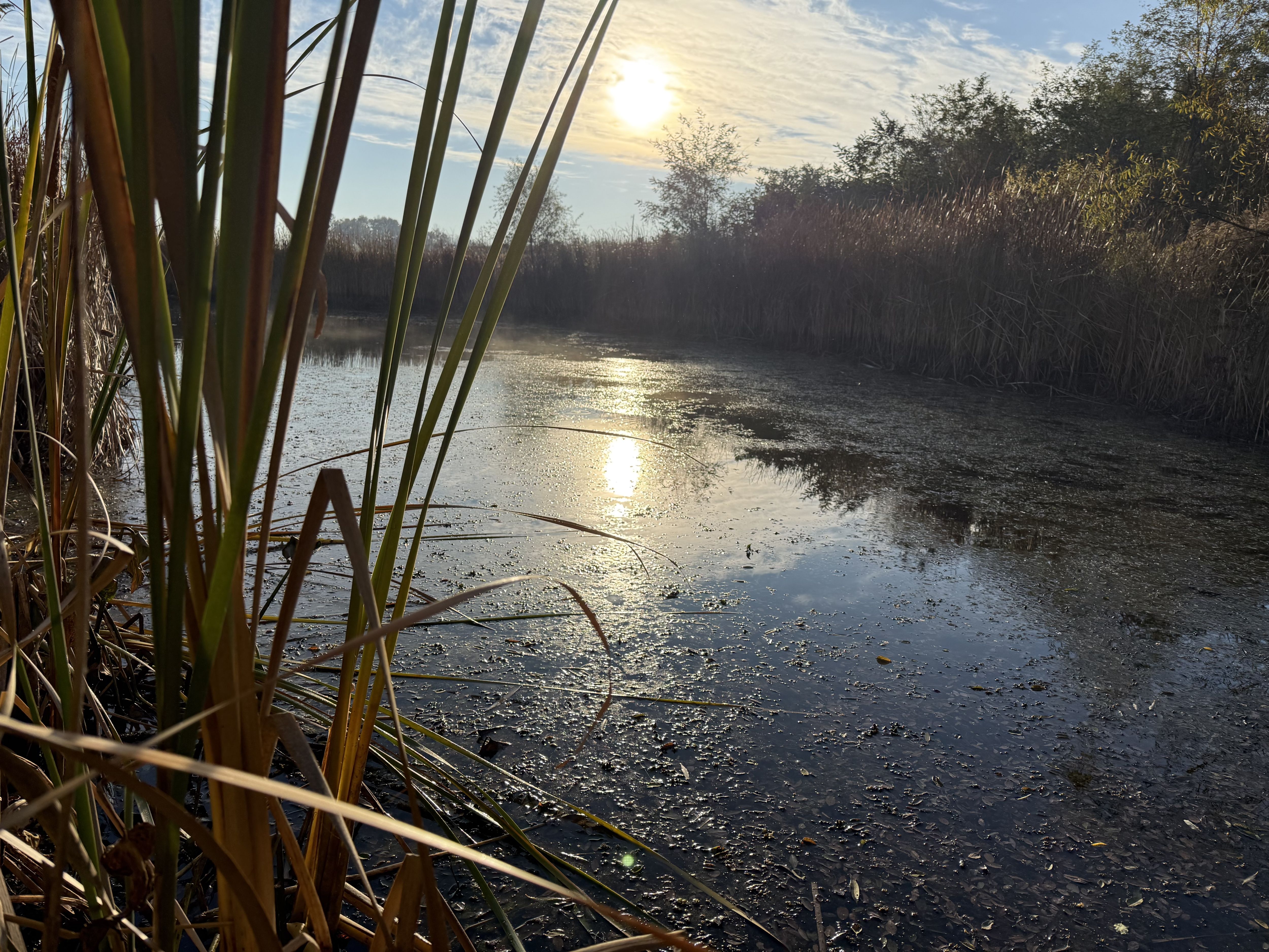 Listing Photo: Photo Oct 30 2025, 8 47 05 AM